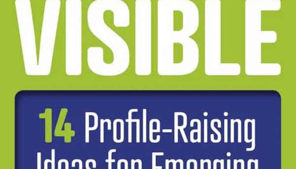 strategies for being visible book cover