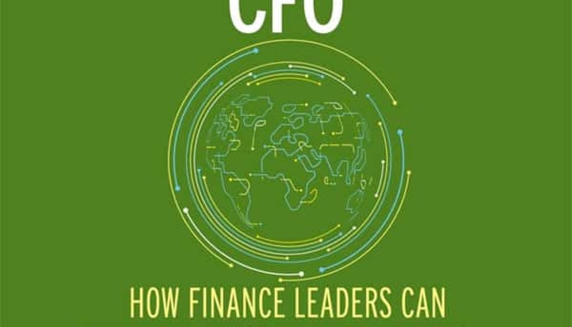 The Contemporary CFO Book